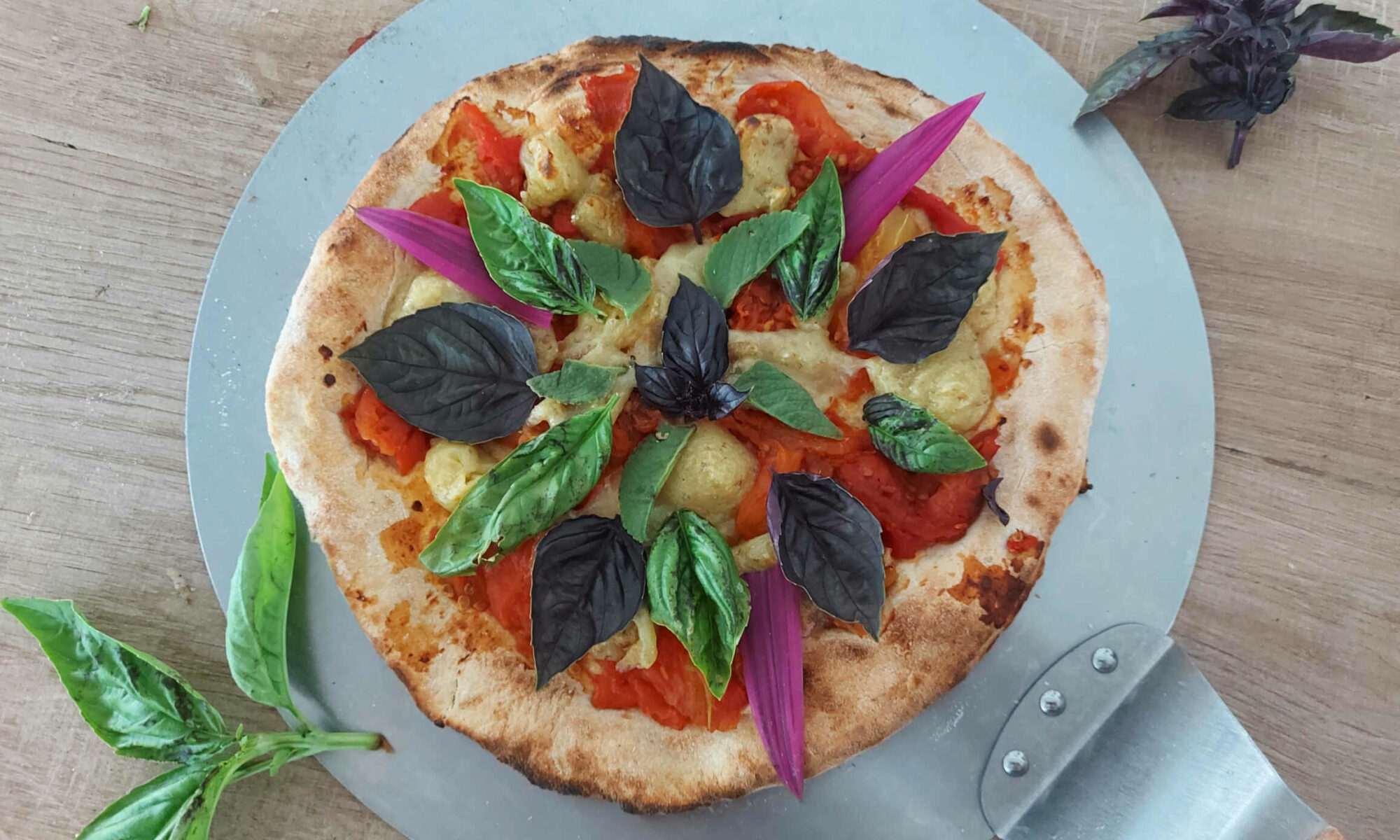 Vida Lotus Pizza La Italiana