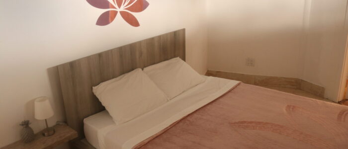 Vida Lotus queen room 3