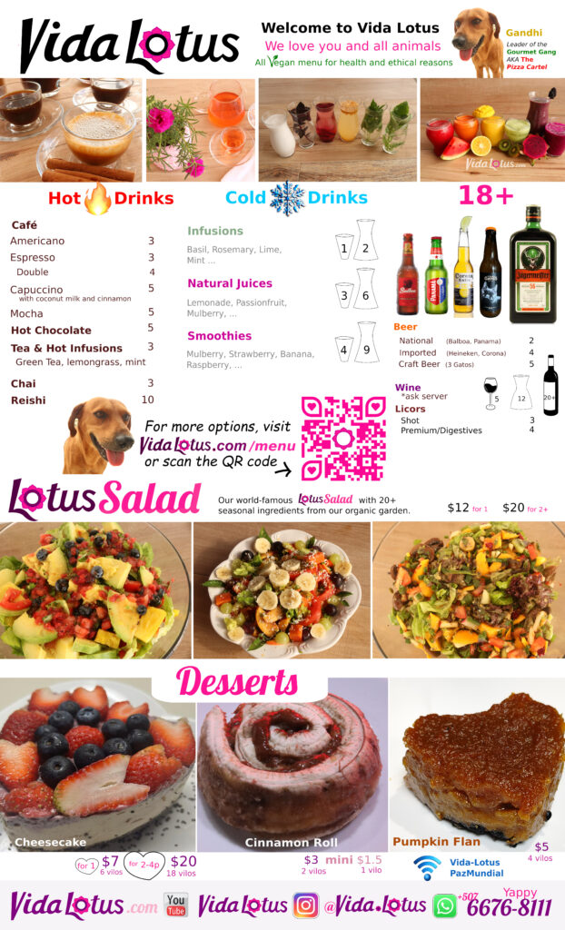 Vida Lotus English Menu 2026 side A drinks salads desserts