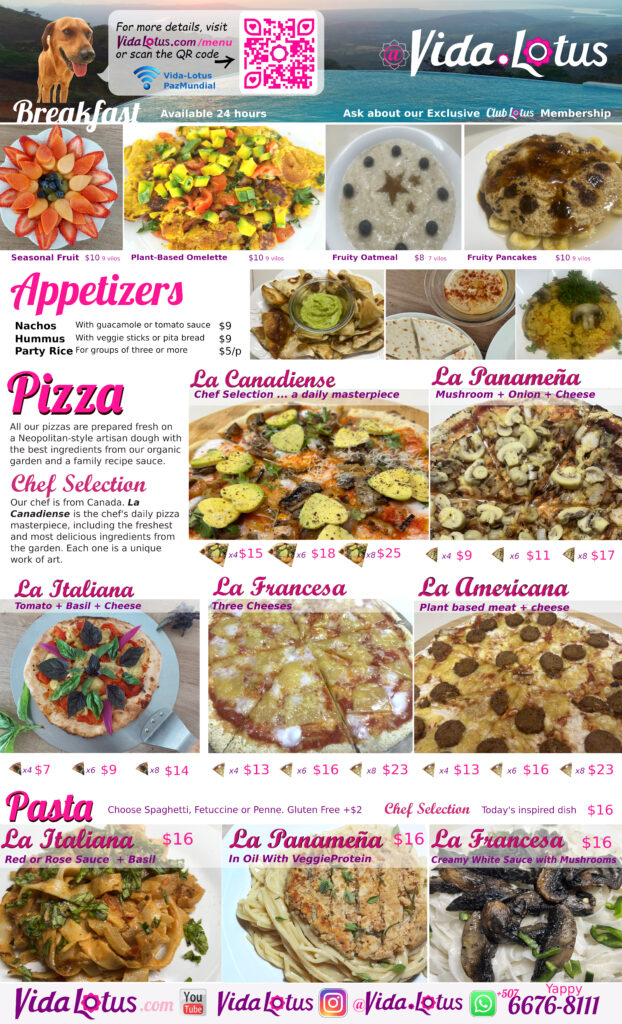 Vida Lotus 2026 menu side B appetizers pizzas pastas