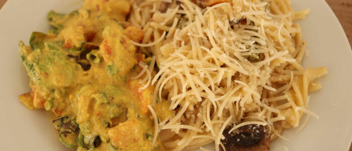 pasta alfredo (12) plant based pizza at vida lotus in panama web