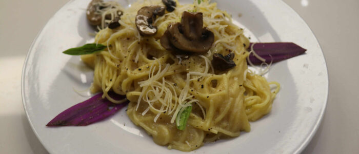 pasta alfredo with mushrooms and manguellitas (1) plant based pizza at vida lotus in panama web